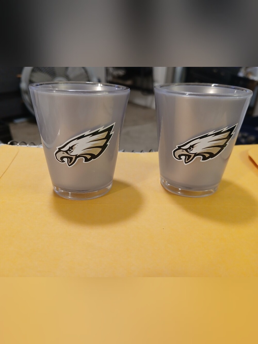 Silver Philadelphia Eagles Shot Glasses - Set of 2